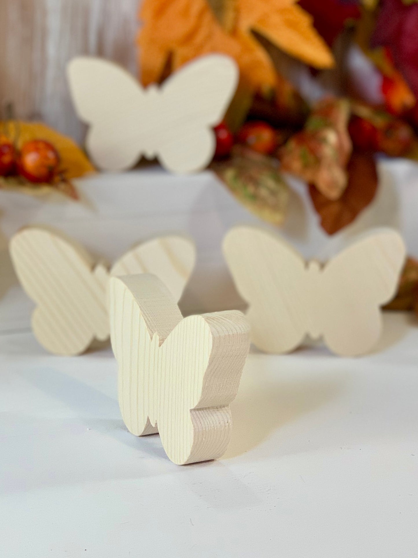 FARFALLA PICCOLA Il Truciolo by MJ