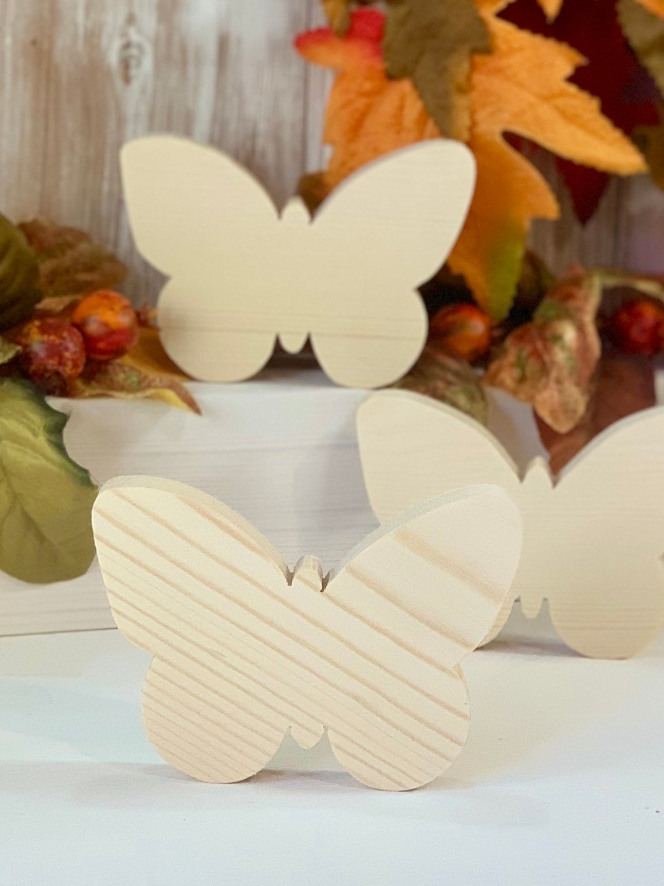 FARFALLA GRANDE Il Truciolo by MJ